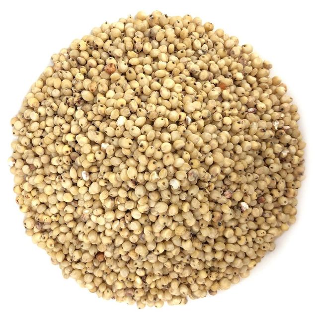 Premium Quality White Sorghum Wholesale Supply At Factory Price For Sale - Image 4