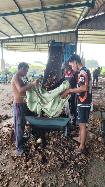 charcoal from coconut shells - Image 3