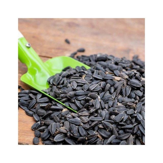 Wholesale Sunflower Seeds cheap price bulk supply fresh and natural kernels Bulk supply Sunflower Seeds - Image 1