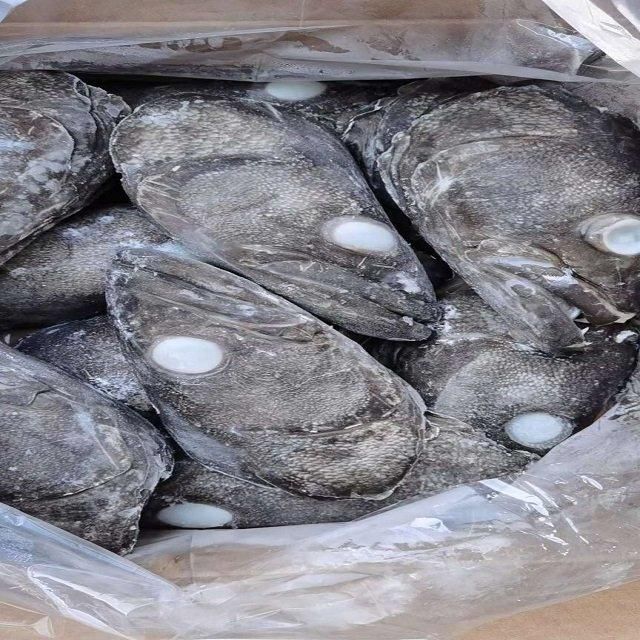 FROZEN FISH HEAD - Image 4