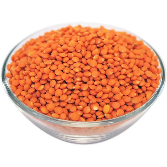 High Quality Organic Canadian Red Lentils / Split Red Lentils Available Belgium - Image 3