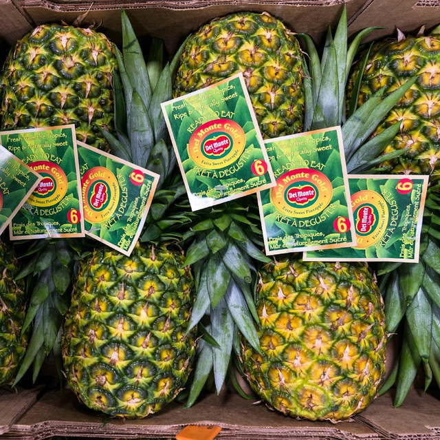 BEST BRANDS SWEET PINEAPPLES EXPORT QUALITY IN 10kg,15kg Cartons DURABLE FOR LONG DISTANCE TRANSPORT - Image 3