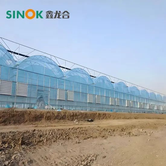 Multi Span Plastic Greenhouse with Hydroponics Planting System/Drip Irrigation System - Image 5