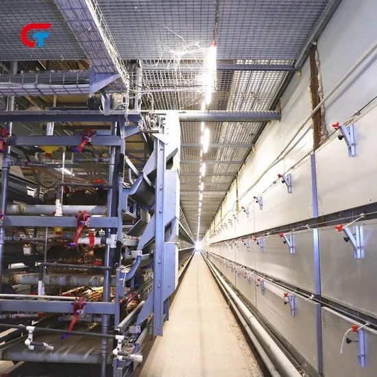 Chicken Multi Layer Automatic Manure Cleaning Feeding Poultry Farm Cage - Image 2