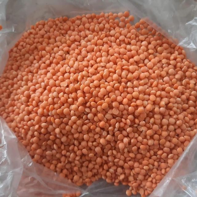 Red Lentil Split (Masoor Dal) packed in 20kg bags - Image 1