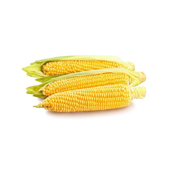 bulk yellow corn kernels for restaurants food businesses and home kitchens premium quality corn grains perfect for popcorn cornmeal tortillas baking and traditional cooking recipes - Image 3
