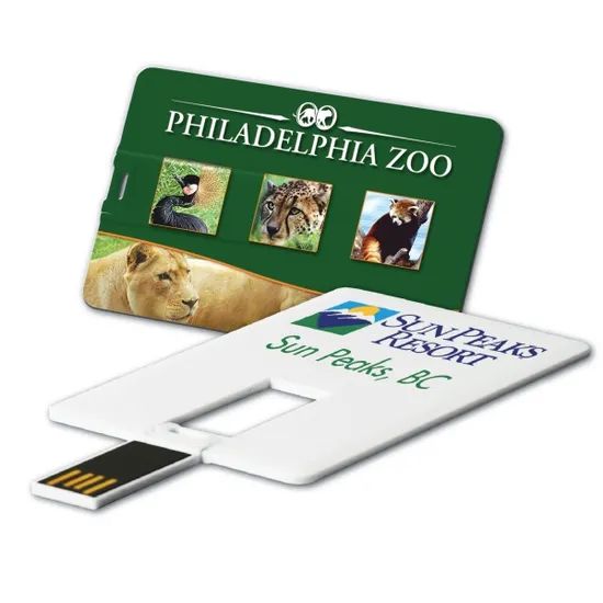 Key Chain USB Flash Drive Promotion USB Flash Drive - Image 5