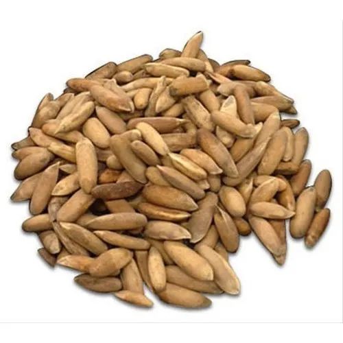 Top Grade Pine Nuts Wholesale Cheap Bulk Pine Seeds for Pesto Making Bakery and Culinary Applications - Image 4