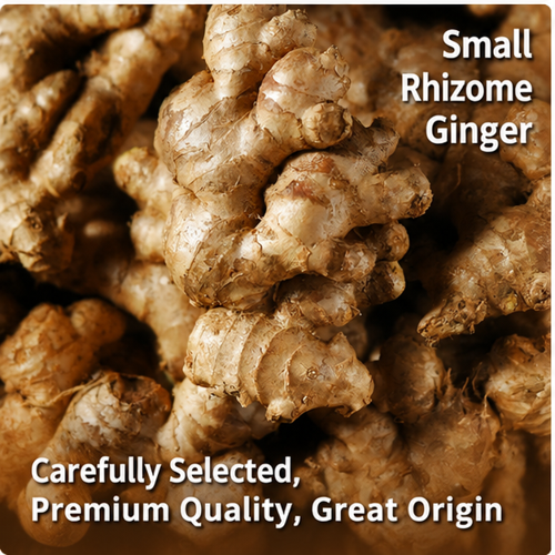 Fresh Ginger, Dried Ginger, Ginger processed products Form Whole Delivery Form Bag, Box Freshness Level Deep Processing:stir-fry,roasted,juice, Dried, Fresh, Frozen - Image 4
