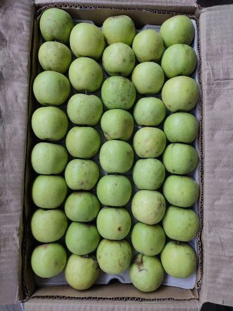 A Grade Golden Apple, Packaging Type: Carton, Packaging Size: 20 - Image 1
