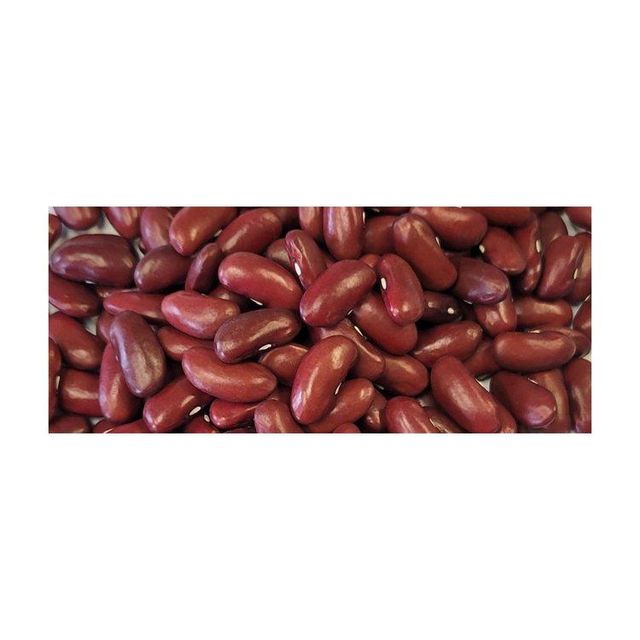 Red Kidney Bean bulk supply wholesale low price export ready - Image 2