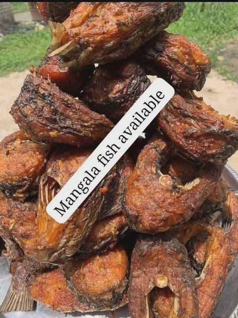 Dried fish,cat fish ,magal - Image 3