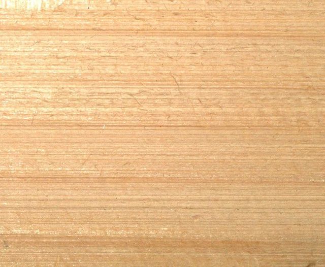 Premium Balsam Fir Wood Logs Wholesale Fast Delivery Stock Transport Destination Asia Transport Means Airplane, Freight Train - Image 1