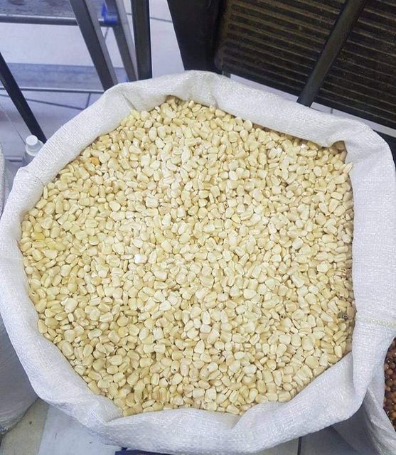 NON GMO WHITE CORN MAIZE - Image 2