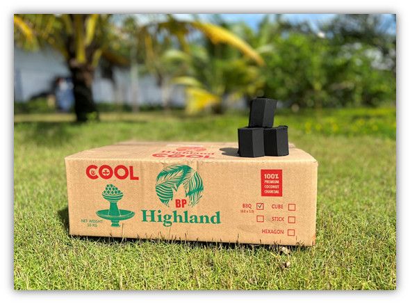 Product specialized in BBQ grill Natural Coconut Charcoal- BBQ from Vietnam High Quality Hot Product - Image 5