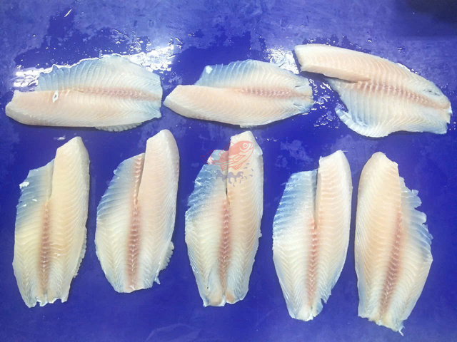Frozen Tilapia Fillet Freshness Level Frozen - Image 1