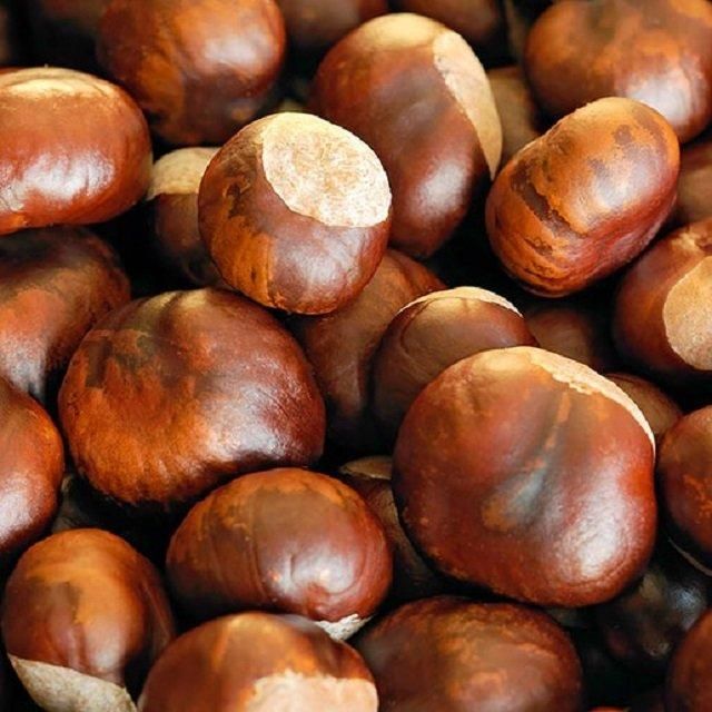 Best Wholesale Price High Quality 100% Organic Dried Bulk Chopped Water ChestNut Calling for Worldwide Distributors - Image 2