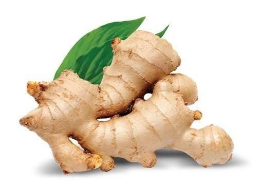 FRESH GINGER - Image 3