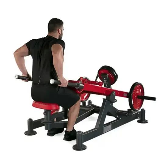 Gym Dual Function Fitness Equipment Plate Load Strength Exercise Machine Horizontal Bench Dips Press - Image 5