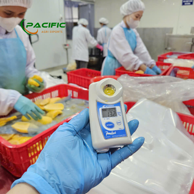 Frozen Mango Premium Quality Wholesale – product photo 6, product detail gallery