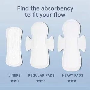 Sustainable PLA Sanitary Napkins Factory - Image 4