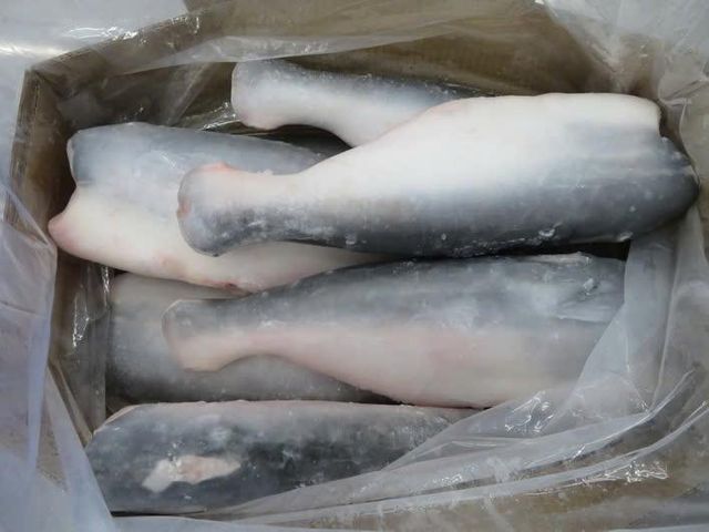 Pangasius HGT Place of Origin Viet - Image 3