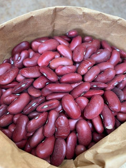 Kidney Beans Ash ≤ 5% Fat 0.5–2% Purity ≥ 99% Fiber 15–25% Protein 20–25% Damaged Beans ≤ 1% Origin South Africa Broken Beans ≤ - Image 1