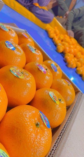 Mandarin kinnow Origin Pakistani Fruit Type Kinnow And - Image 1