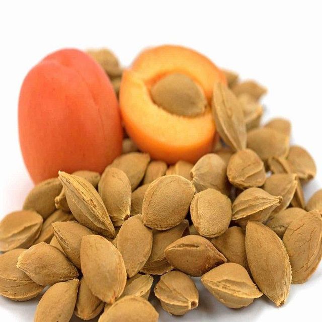 Buy Good Taste Apricot Kernel Bitter and Sweet Nuts Premium Quality Apricot Kernels with Fast Delivery - Image 3