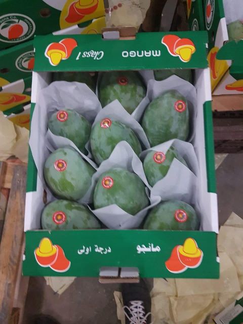 Mango - Image 3