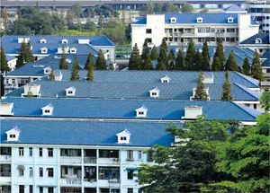 Asa Synthetic Resin Roof Tile for Beach Villas Width 1040mm HS Code 392590 Model NO. R1040 Size 1040*5800mm Color - Image 4
