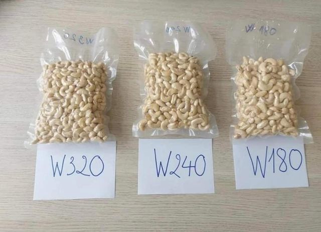 Cashew Nuts 4% Max, BROKEN : 1% Max - Image 3