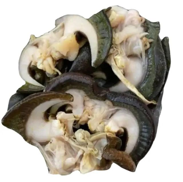 100% High Quality Edible Snails Dries Snails Giant African Land Snails for Sale Frozen Dried at Cheap Price WHATSAP +255762500052/ +255787979235 - Image 1
