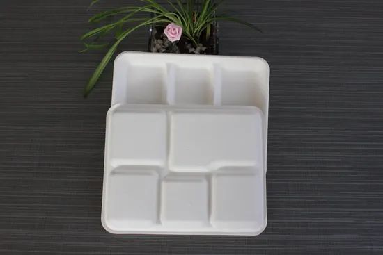 Food Grade Popular 12.5'' 5 Compartment Sugarcane Tray Disposable Bagasse Tableware - Image 2
