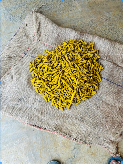 Turmeric Fingers - Image 3