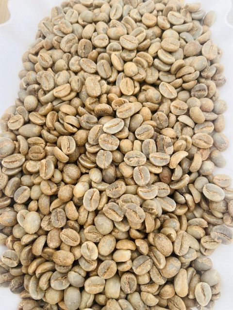 Arabica Plantation A - Green Coffee Beans Origin Asia - Image 3