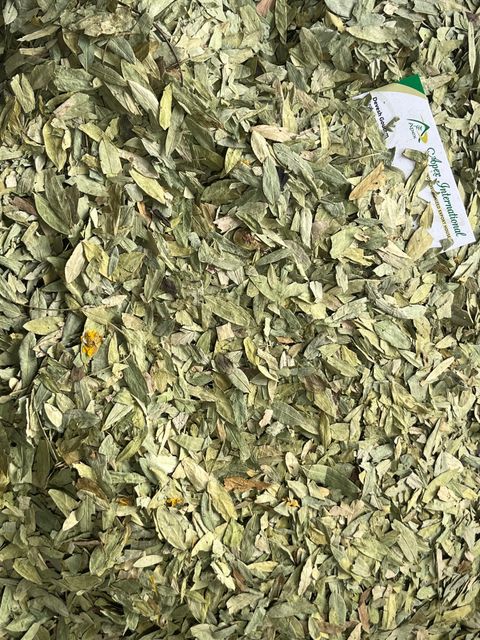 senna leaves bulk supplier from india Color green Material leaves Grade No.2 & No.3 Shelf Life 3 years Brand Name Apex Senna - Image 3