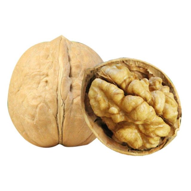 Walnut Best Price Common Walnut Nuts Top Class Walnut Kernels Dried Style Raw Waln AT Best Supplier Good Packaging Food - Image 5