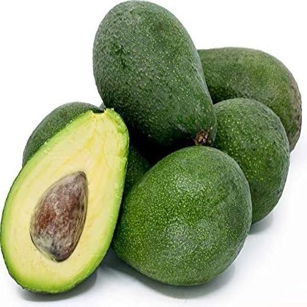 Farm Fresh Produce Fresh Avocado Clean And Sorted Fresh Avocado High Quality Supply - Image 2