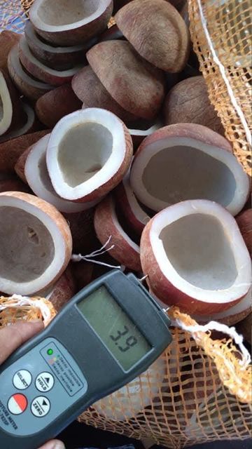 Copra Edible Free Fatty Acid Low Delivery Form Other Foreign Matter Max. 1%% Moisture Content Max. 6%% Color Light Brown To Golden Brown - Image 3