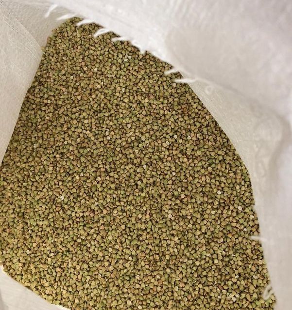 Buck Wheat Quality - Image 1