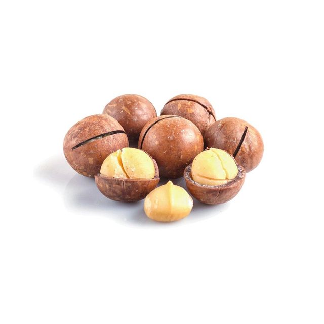 Macadamia nuts wholesale bulk supply affordable price high grade nuts - Image 2