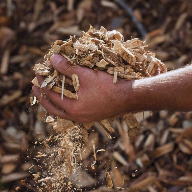 Premium Natural Wood Chips Bulk Supply Wood Chips For Biomass Energy Production And Industrial Heating Applications - Image 3