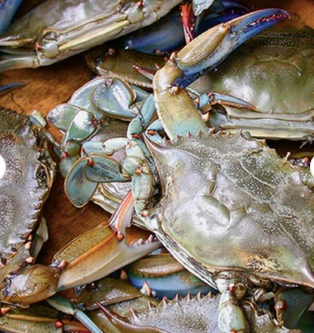 Bulk Frozen Whole King Crabs In Stock Buy Wholesale Cheap Price King Crab Legs For Sale - Image 4