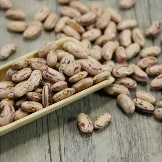 Light Speckled Dried Kidney Beans FD Process Bulk Packaging 25kg Gold Field 17% Moisture 2 Year Shelf Life for Sale - Image 2