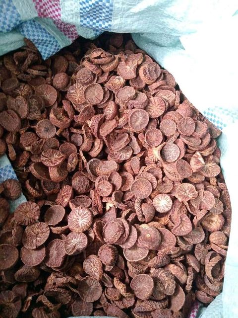 Betel nuts/areca nuts - Image 2