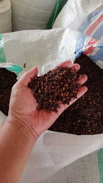 CLOVES - Image 1