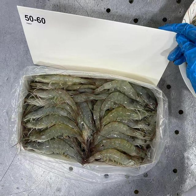 Frozen Hoso Shrimp Premium Frozen Seafood Packed Under Advanced Quality Controls For Global Buyer Demand - Image 2