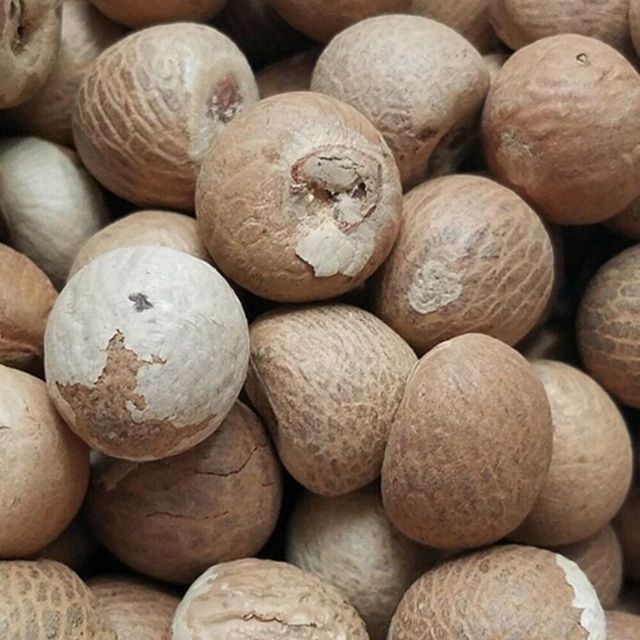 Affordable Betel Nuts Fresh Natural Whole and Split Areca Nuts Premium Quality for Retail, Wholesale and Food Industry - Image 4