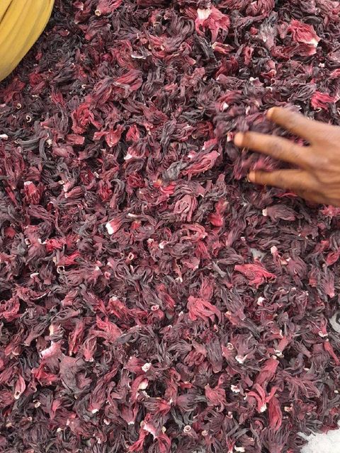 Hibiscus Grade A Packaging 25kg bags Max. Moisture (%) maximun - Image 2
